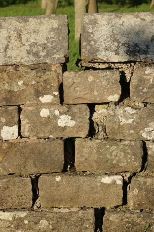 Stone Wall Repair in Ames, IA